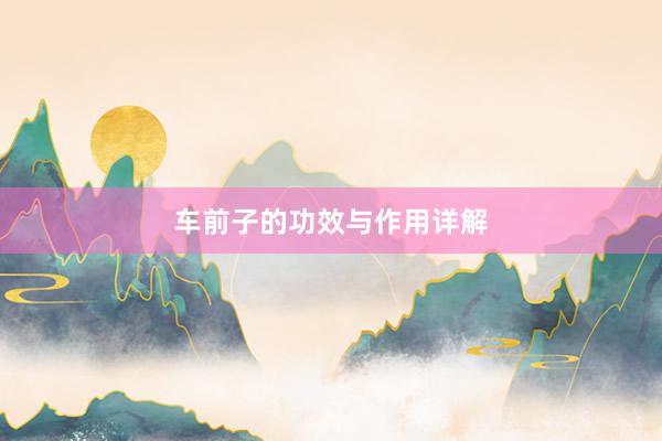 车前子的功效与作用详解